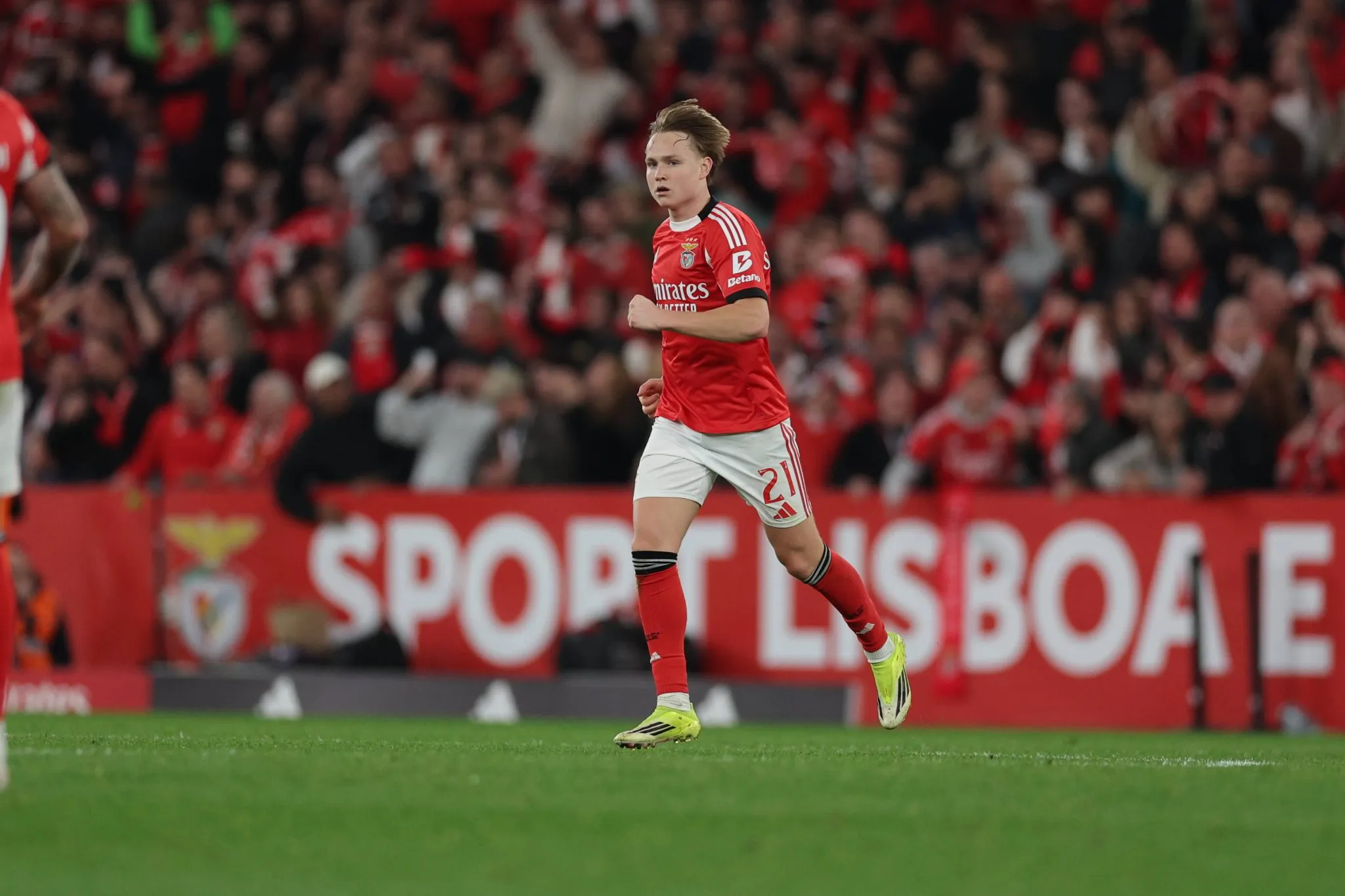 Andreas Schjelderup, em atua&ccedil;&atilde;o pelo Benfica (Foto: IMAGO / ZUMA Press Wire)