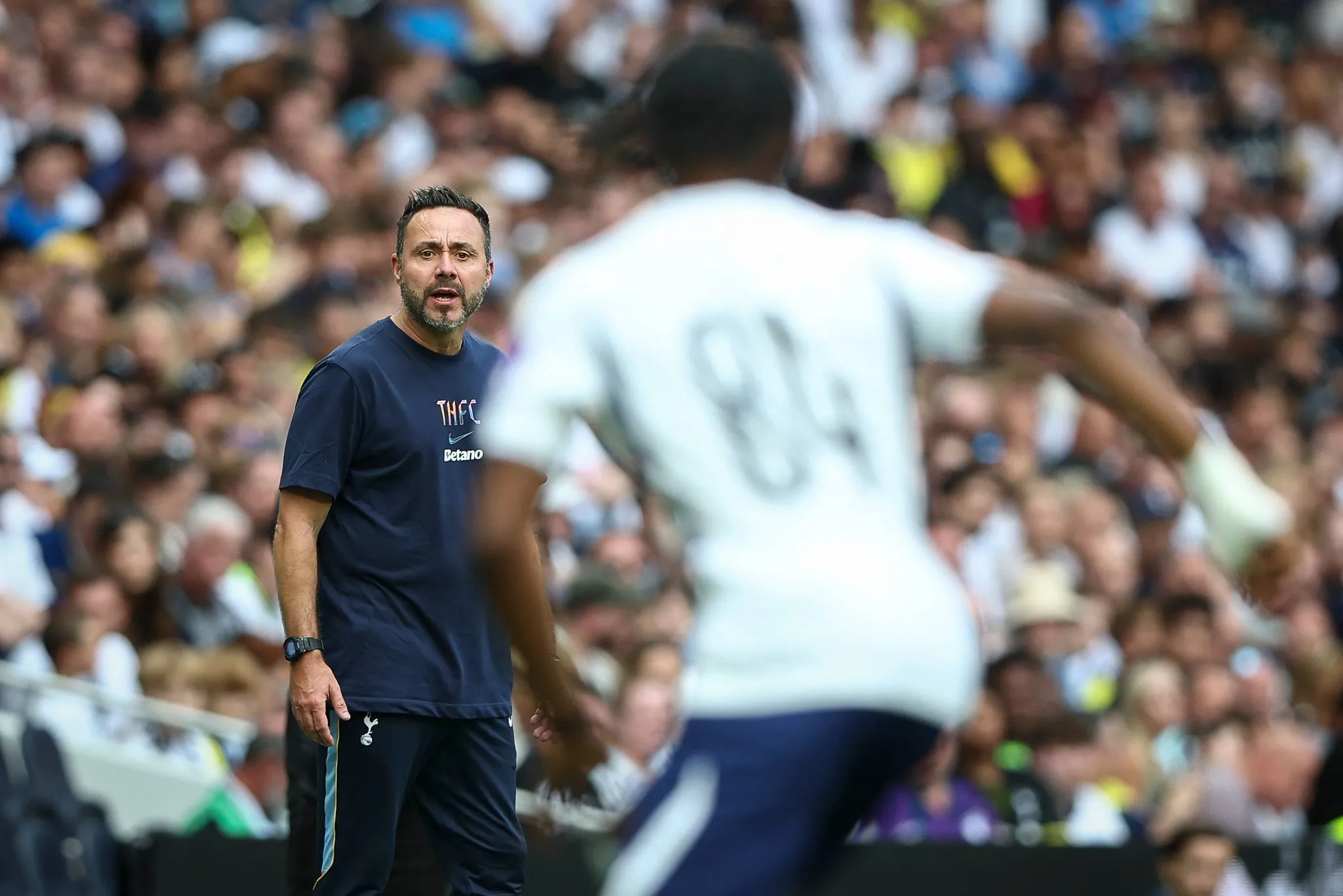 De Zerbi, t&eacute;cnico do Tottenham