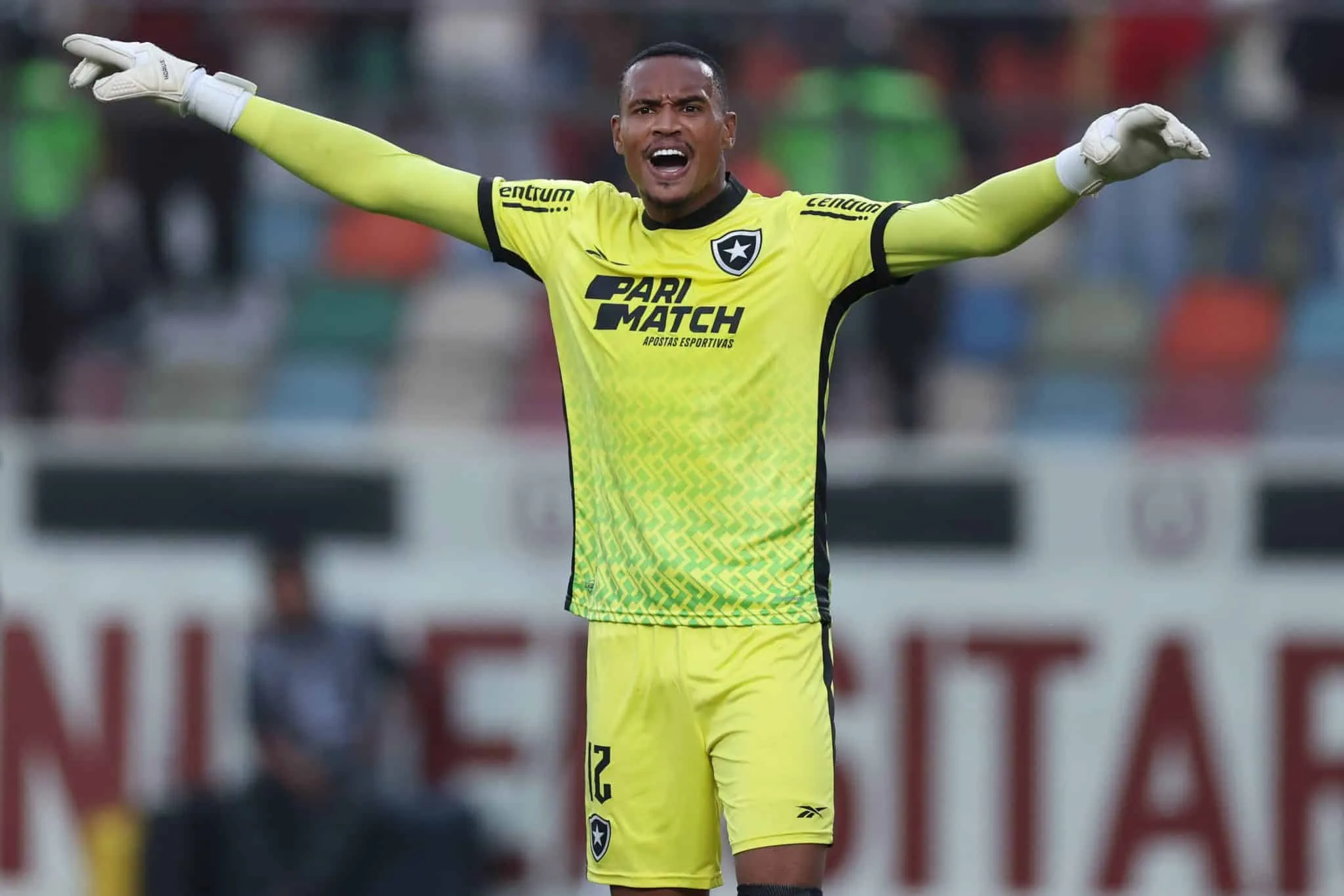 Goleiros roubam protagonismo no empate entre Bahia e Botafogo