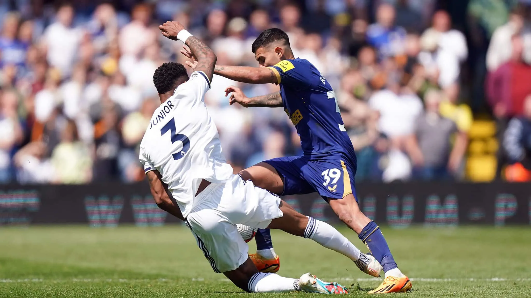 Leeds batalha muito, mas empate diante do Newcastle aproxima o time do rebaixamento