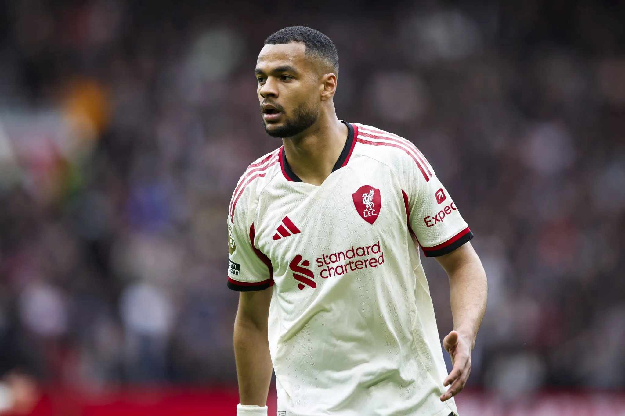Cody Gakpo em jogo do Liverpool