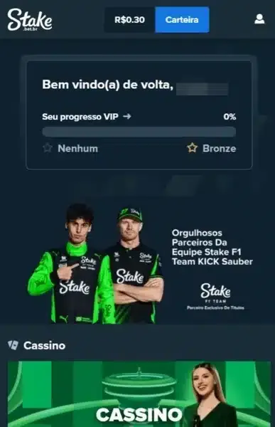 Captura de tela da p&aacute;gina inicial da Stake