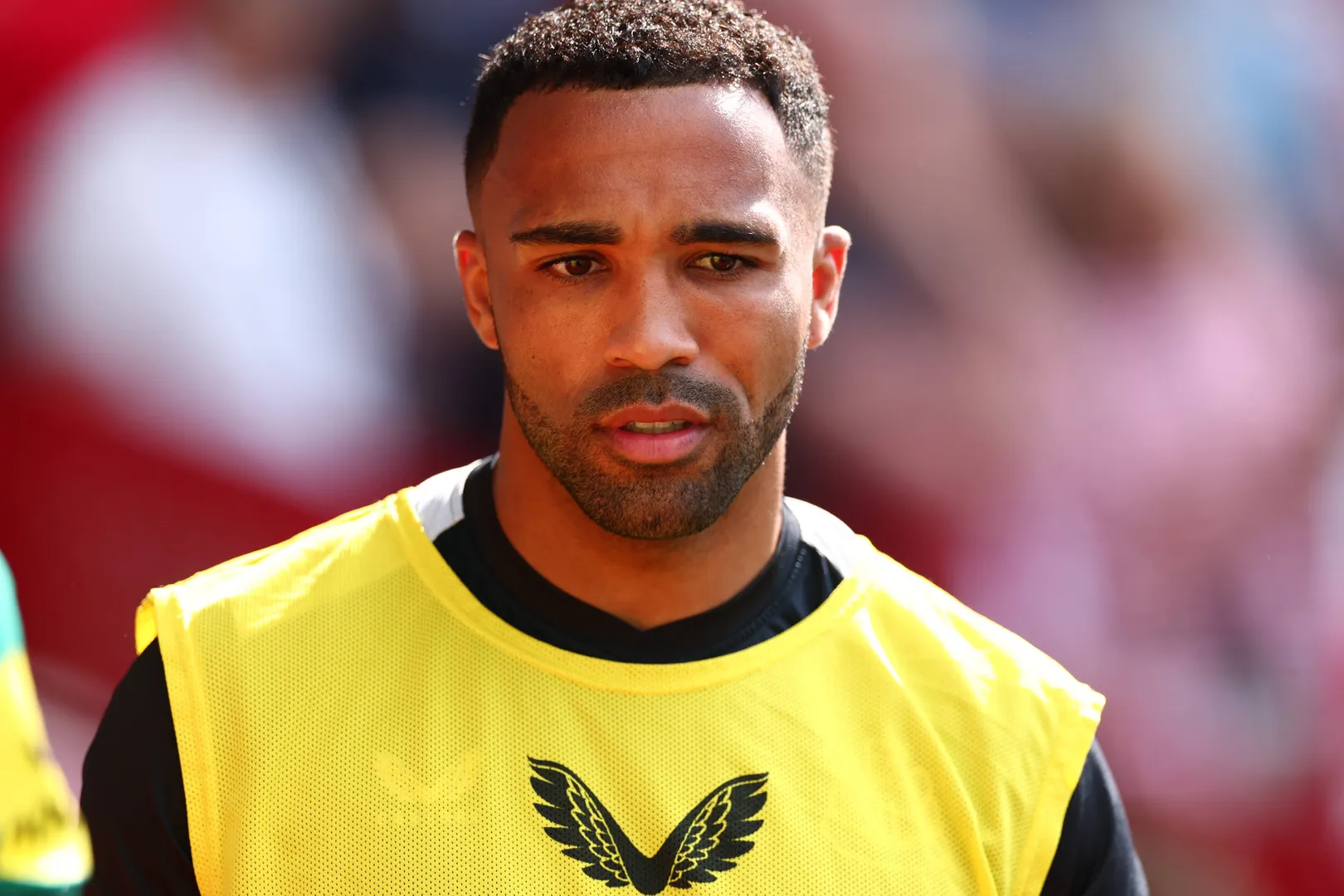 Callum Wilson como reserva durante jogo do Newcastle
