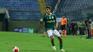A culpa n&atilde;o &eacute; de Leila: por que o Palmeiras n&atilde;o vai deixar Barueri?