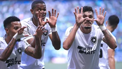 Botafogo faz seu papel, explora os erros do Palmeiras e vence no Allianz