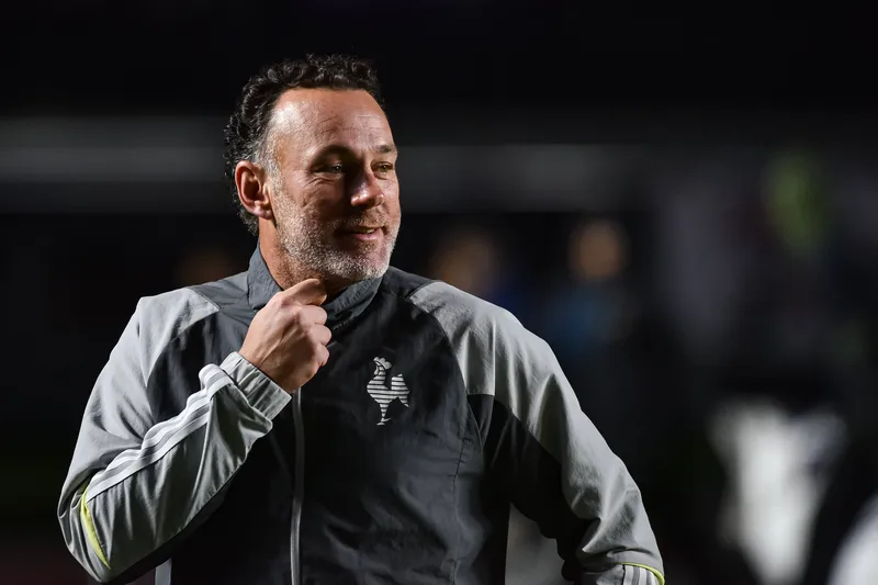 Milito viveu reta final de trabalho melanc&oacute;lica no Galo