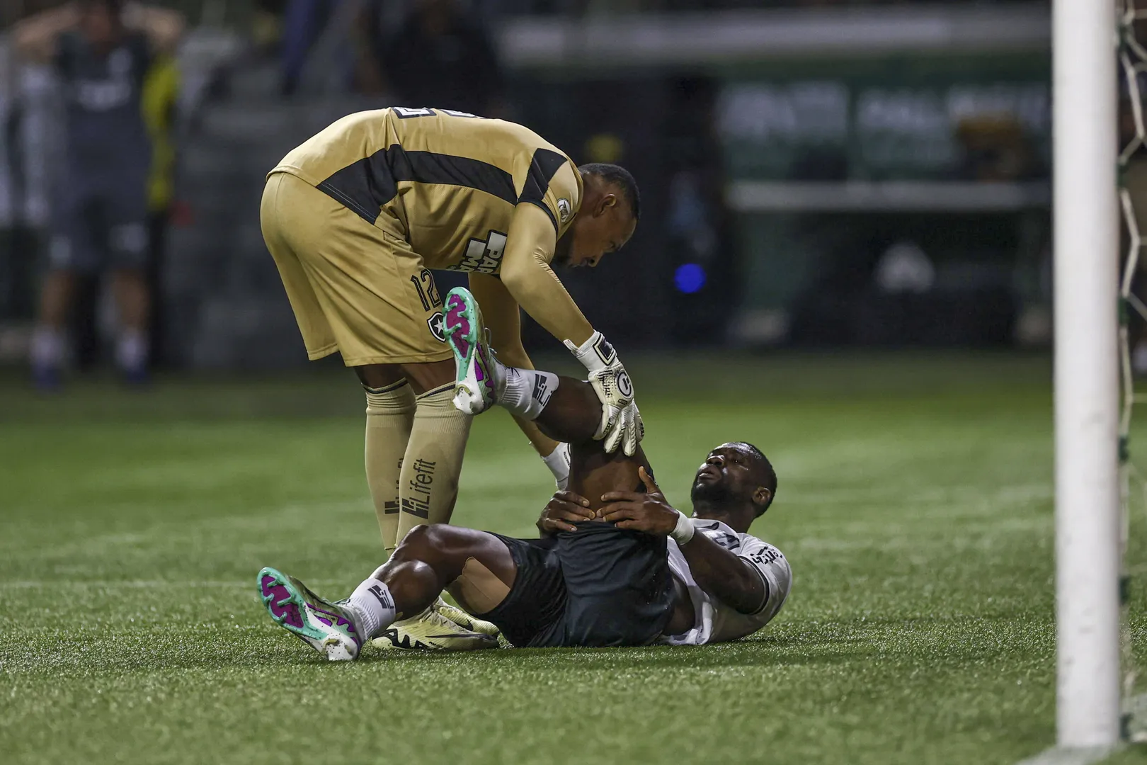 Bastos se machucou durante Palmeiras x Botafogo, pelo Brasileir&atilde;o - Foto: (Imago) 