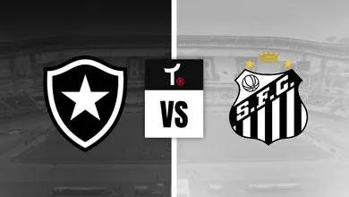 Botafogo x Santos Palpite &ndash; Not&iacute;cias e odds (16/07)
