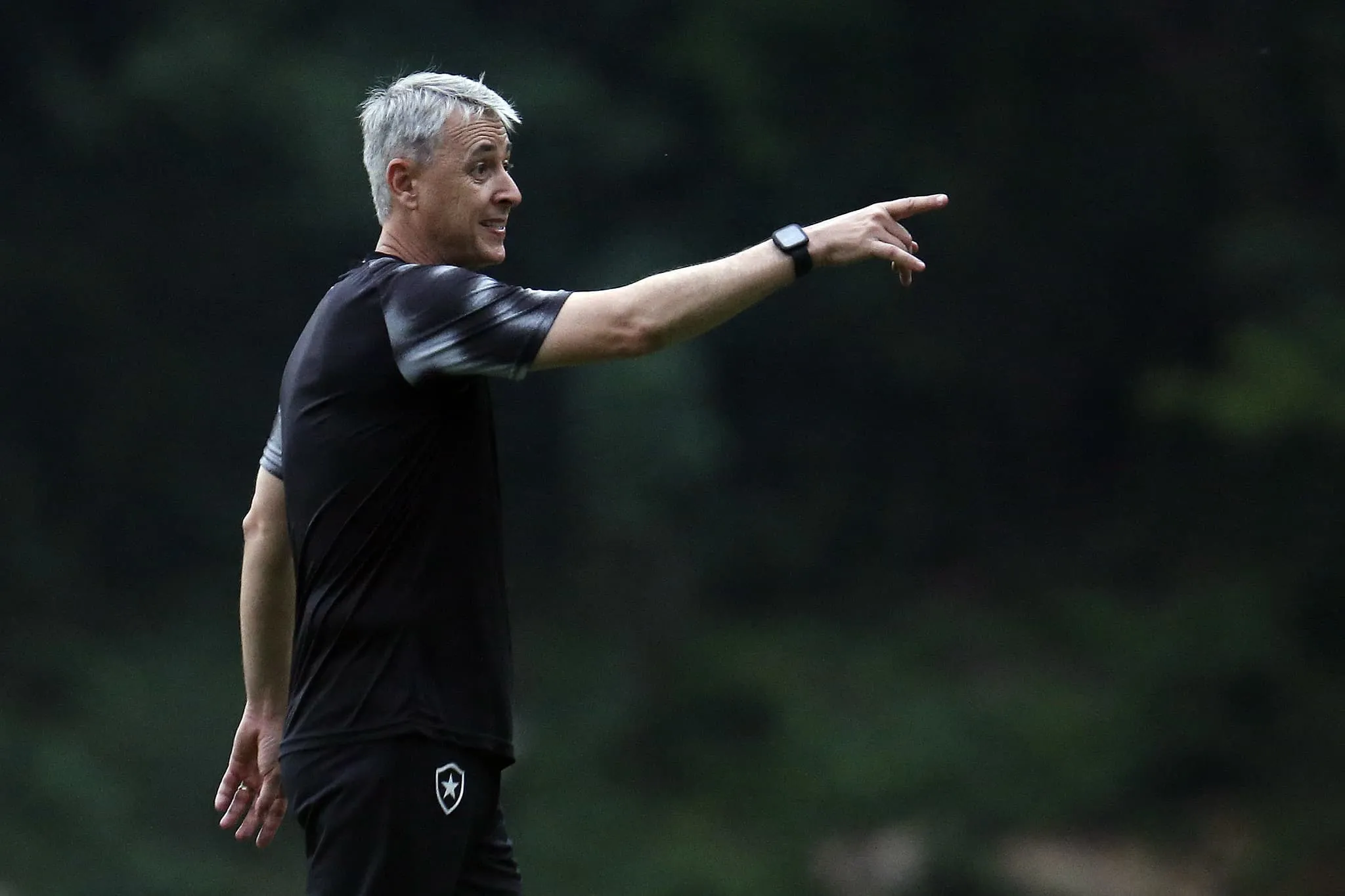 Botafogo vai lutar contra estat&iacute;stica para ser campe&atilde;o do Brasileir&atilde;o