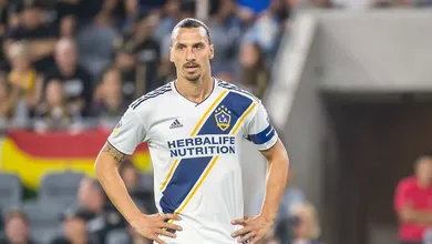 Ibrahimovic no Bologna? Diretor do clube garante que &eacute; poss&iacute;vel e que o sueco quer