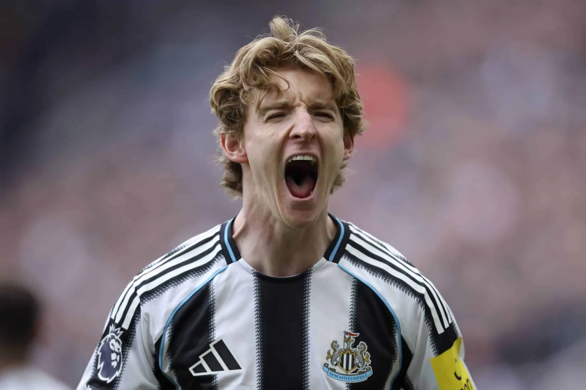 Anthony Gordon em a&ccedil;&atilde;o pelo Newcastle
