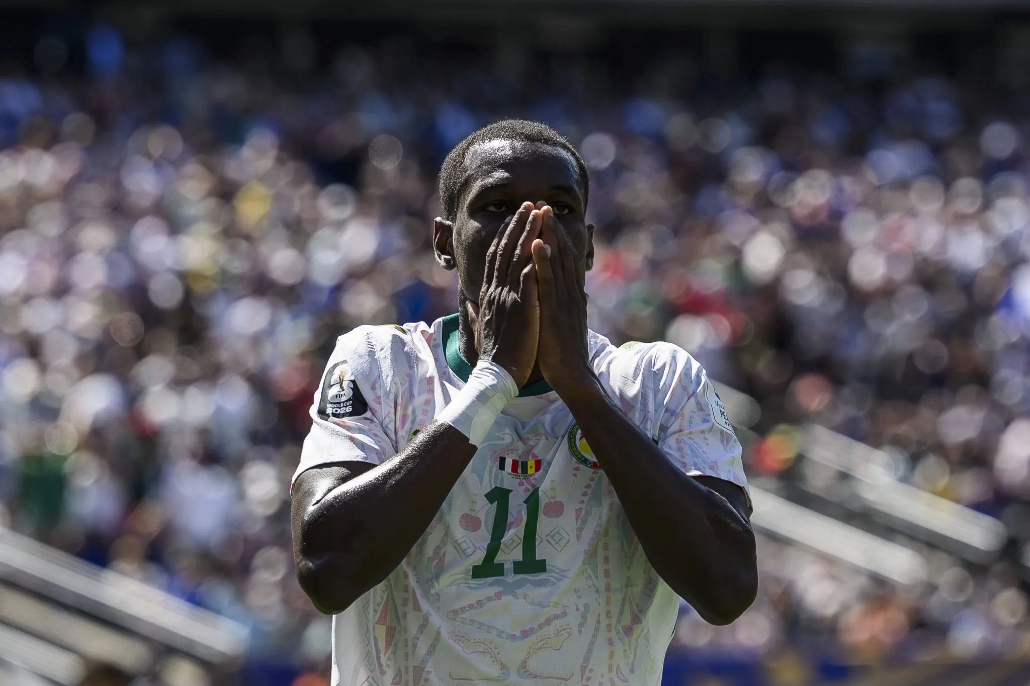 Nicolas Jackson Senegal