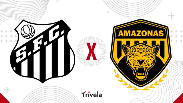 Santos x Amazonas: onde assistir, palpites e escala&ccedil;&otilde;es &ndash; S&eacute;rie B &ndash; 24/08/2024