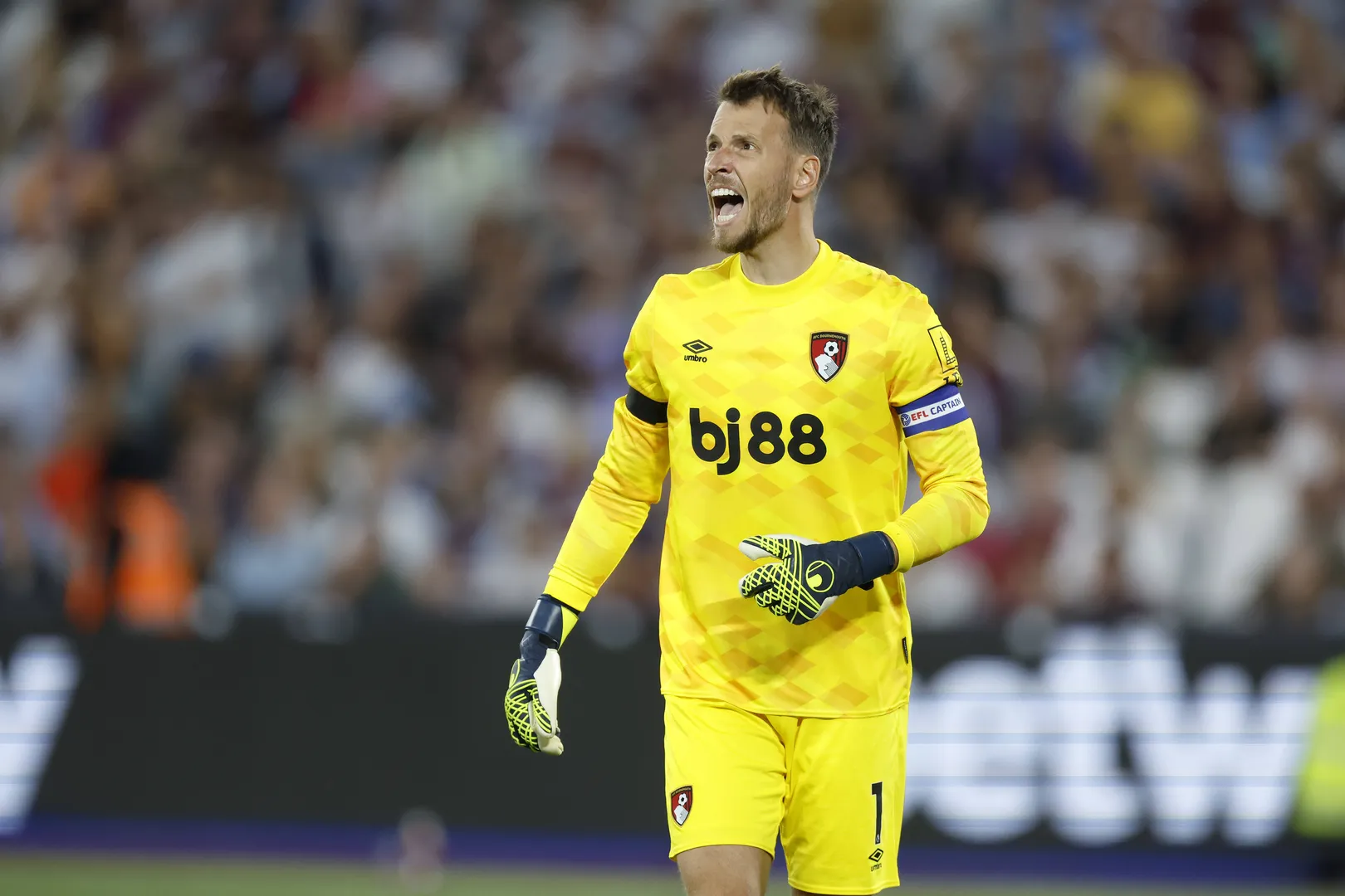 Neto, do Bournemouth, &eacute; um dos alvos do Botafogo (Foto: Imago)