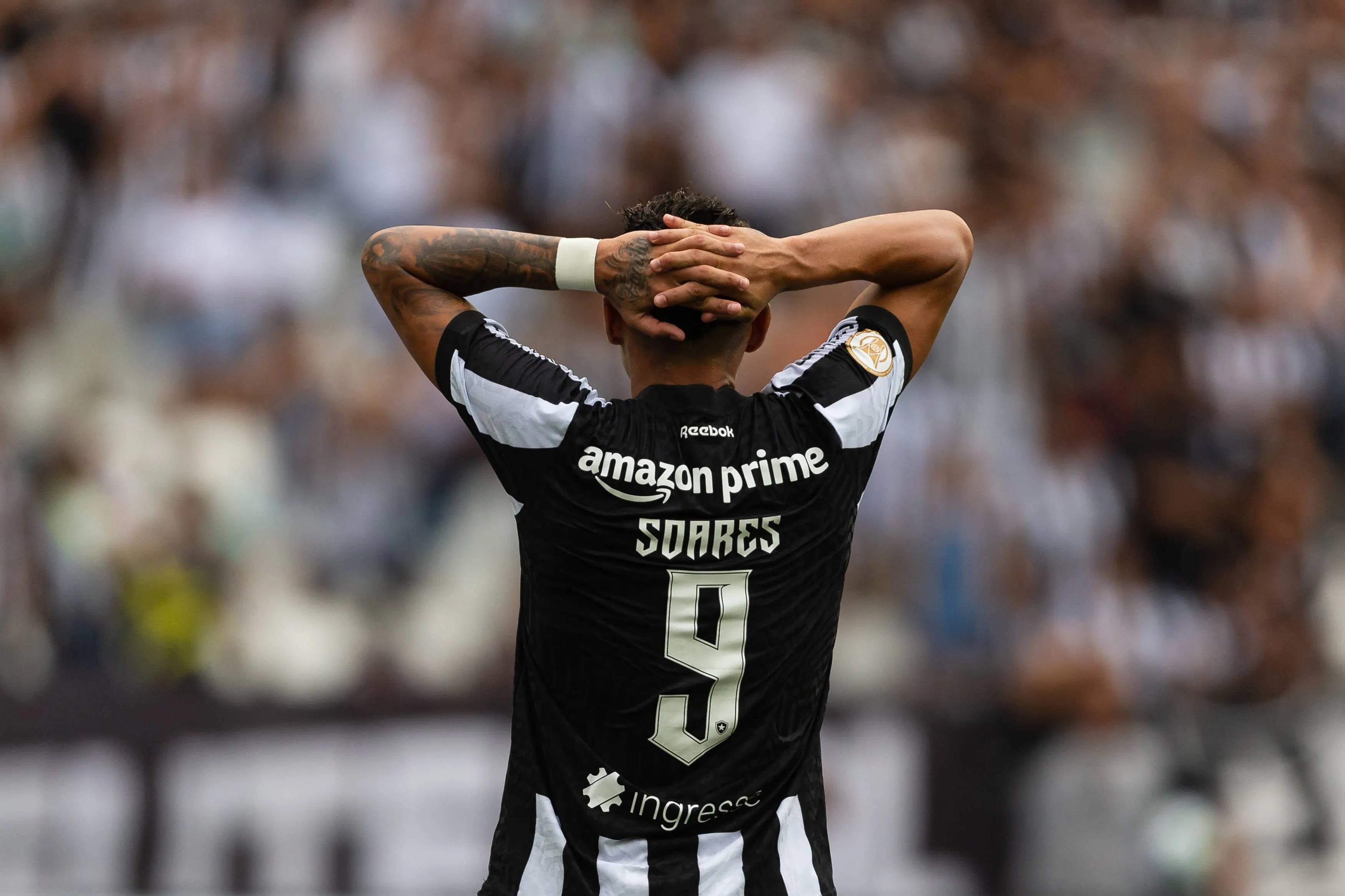 Recuperar a sinergia com a torcida &eacute; o presente que o Botafogo pede ao Papai Noel para 2024