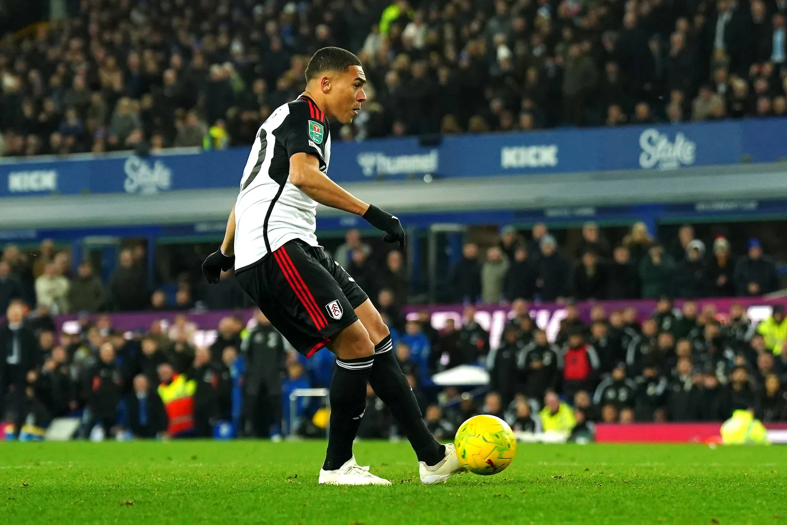 Carlos Vinicius - Fulham
