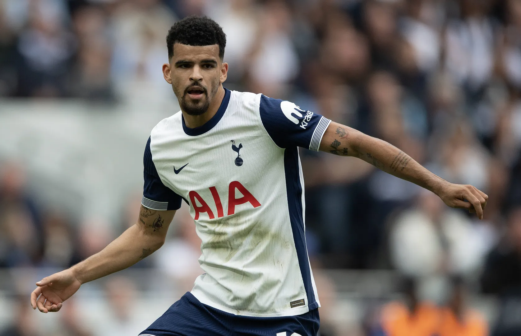 Dominic Solanke em a&ccedil;&atilde;o pelo Tottenham