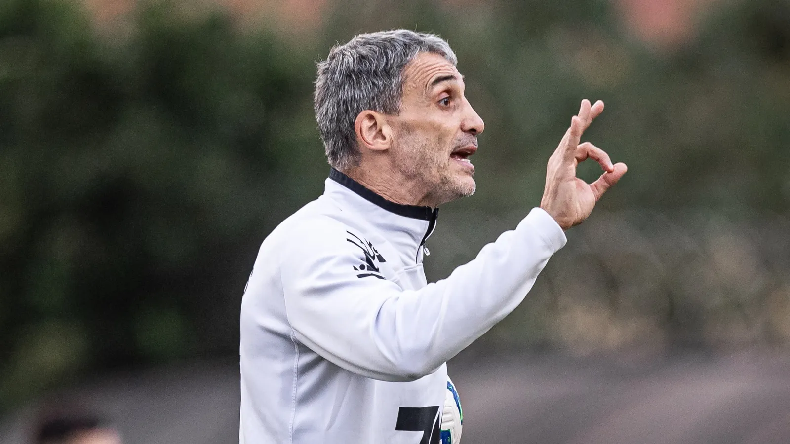 LDU nem imagina, mas aumentou a confian&ccedil;a do Santos para o cl&aacute;ssico com o S&atilde;o Paulo