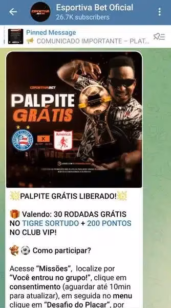 Captura de tela do grupo no Telegram da Esportivabet