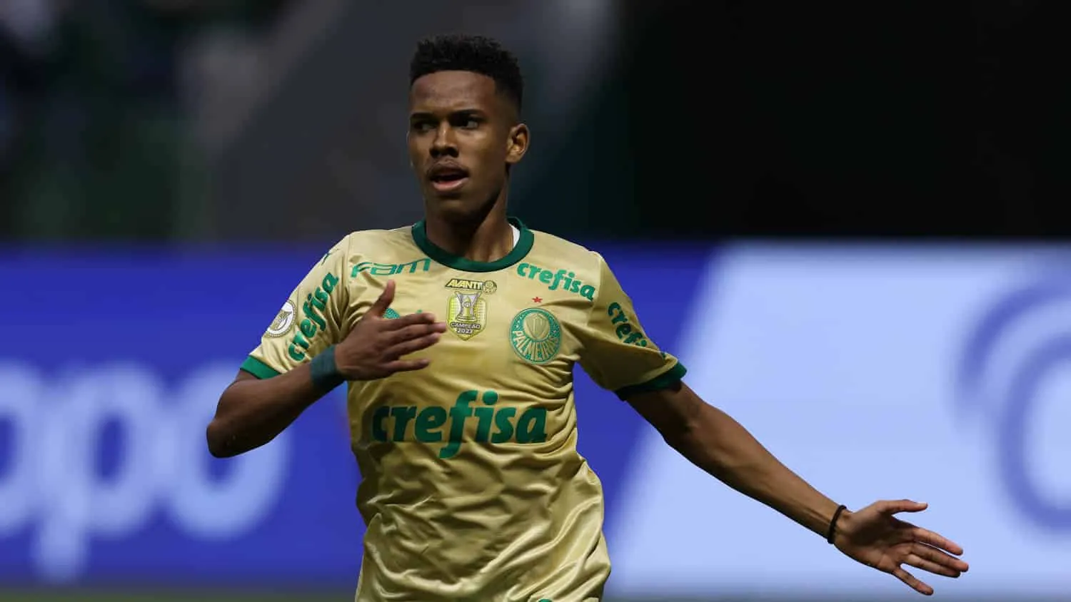 Foto: (Cesar Greco/Palmeiras) - Est&ecirc;v&atilde;o, pela Palmeiras