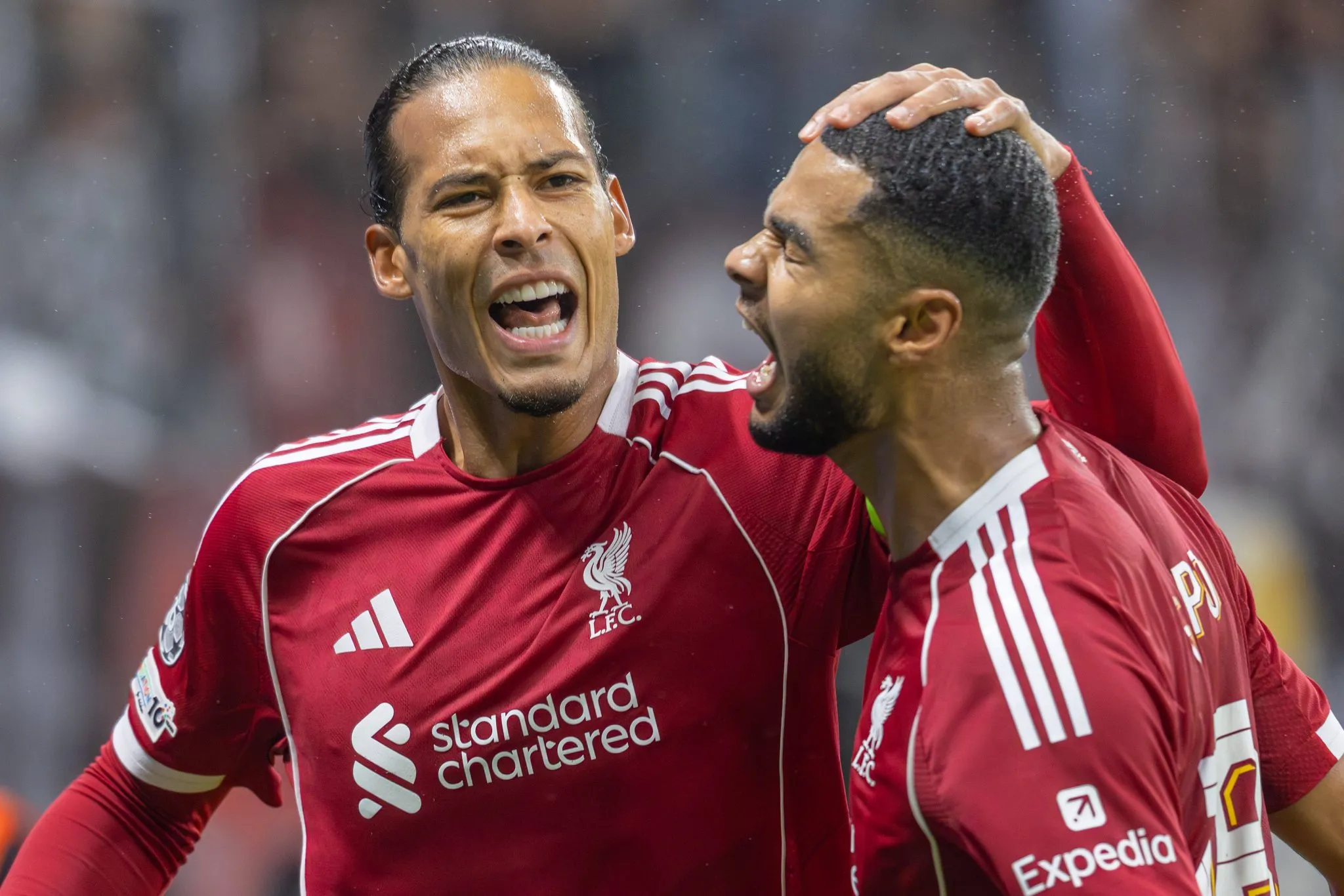 Gakpo e Van Dijk celebram juntos gol do Liverpool