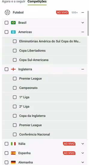 Captura de tela com as competi&ccedil;&otilde;es de futebol dispon&iacute;veis no cat&aacute;logo da Lottoland Brasil