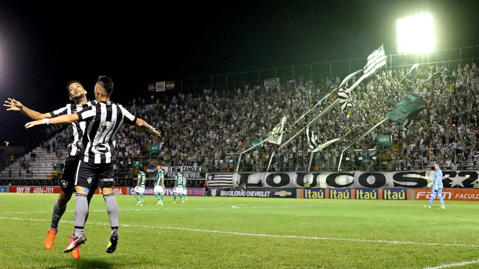 Botafogo teve em Ne&iacute;lton o brilho para sua estrela ofuscar o Palmeiras
