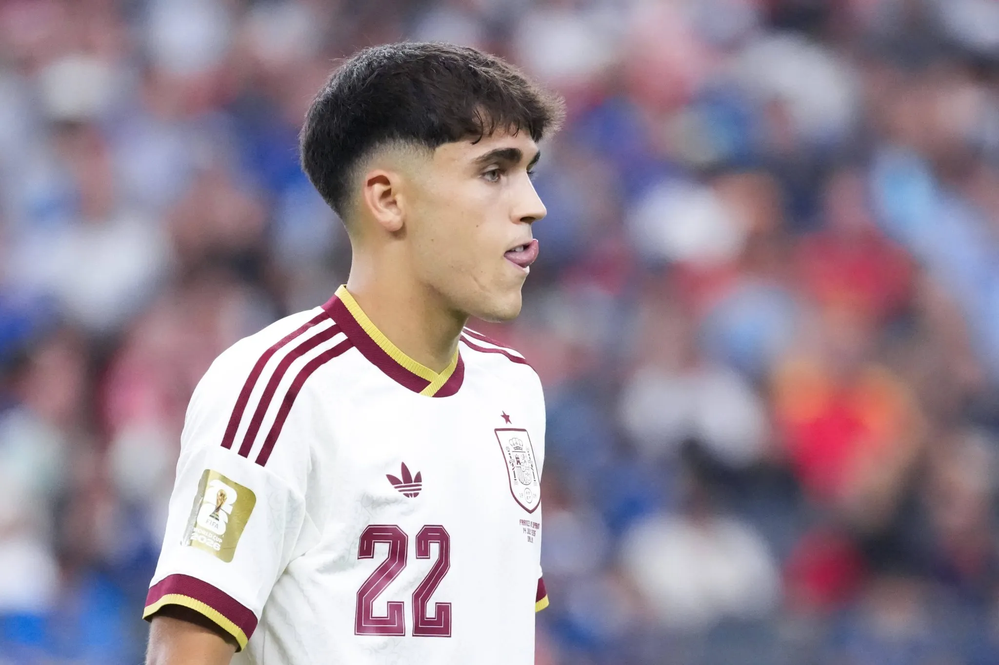 Pau Cubars&iacute; em jogo da Espanha na Copa do Mundo