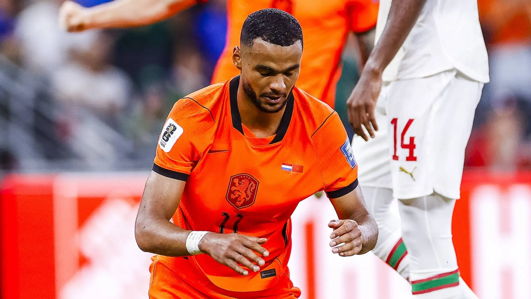Gakpo chora ap&oacute;s marcar gol neerland&ecirc;s contra o Marrocos (Foto: IMAGO / Pro Shots)