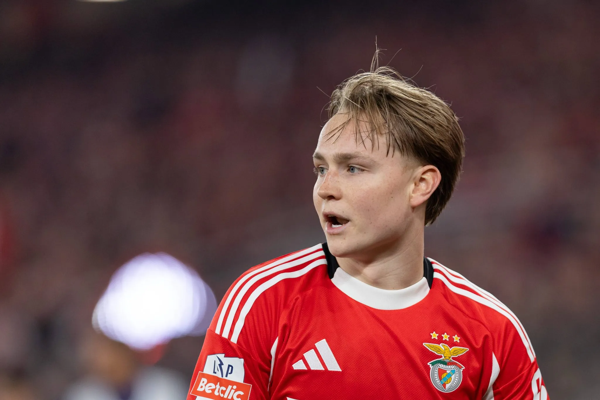 Andreas Schjelderup, jogador do Benfica (Foto: IMAGO / ZUMA Press Wire)
