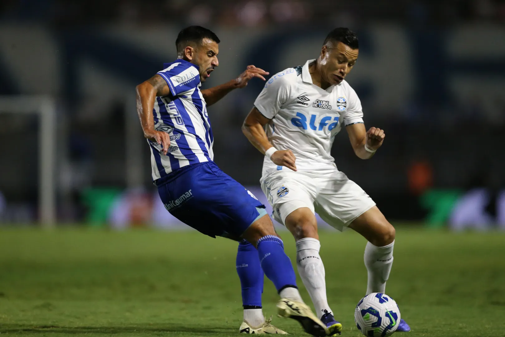 Dividida no jogo entre CSA e Gr&ecirc;mio