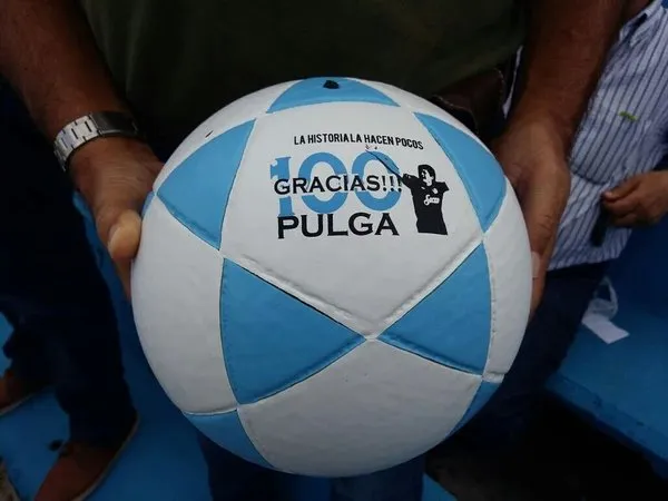 pulga1