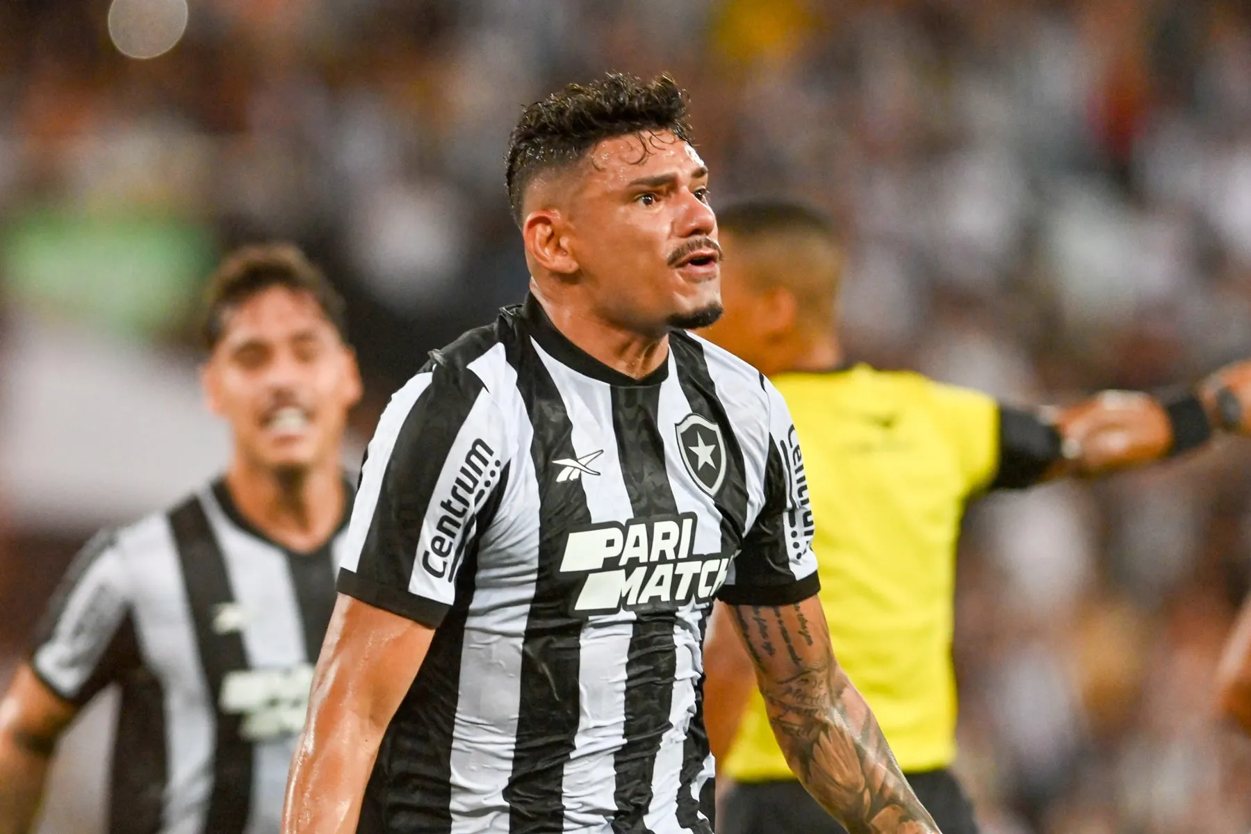 Mesmo com menos gols, Tiquinho &eacute; refor&ccedil;o importante para o Botafogo