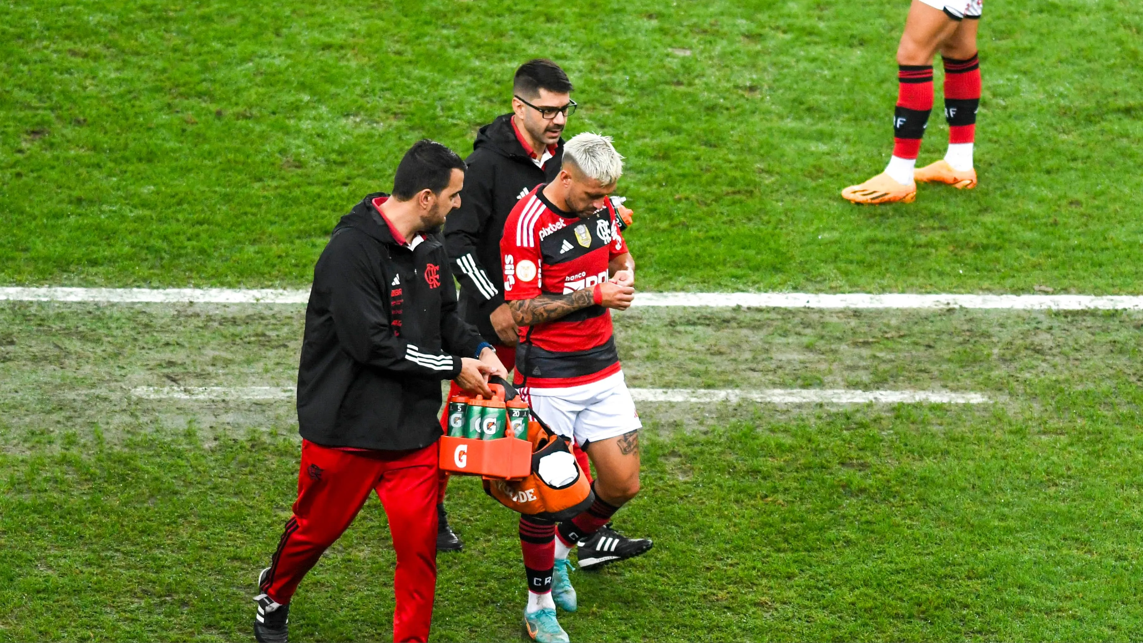 Flamengo tra&ccedil;a planejamento para ter Arrascaeta e Luiz Ara&uacute;jo no Morumbi
