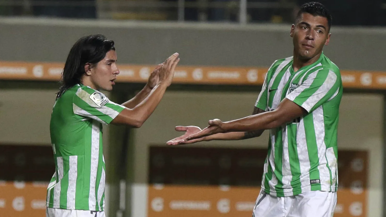 Verdolagas prolongam seu reinado na Col&ocirc;mbia