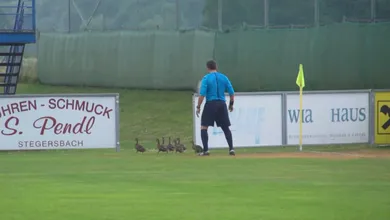 Esta invas&atilde;o de patos foi a melhor cena do amistoso do Zenit