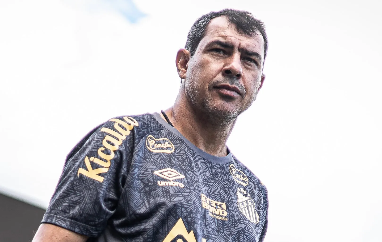 Quantos pontos ser&atilde;o necess&aacute;rios para o Santos conquistar o acesso &agrave; S&eacute;rie A?