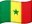 🇸🇳