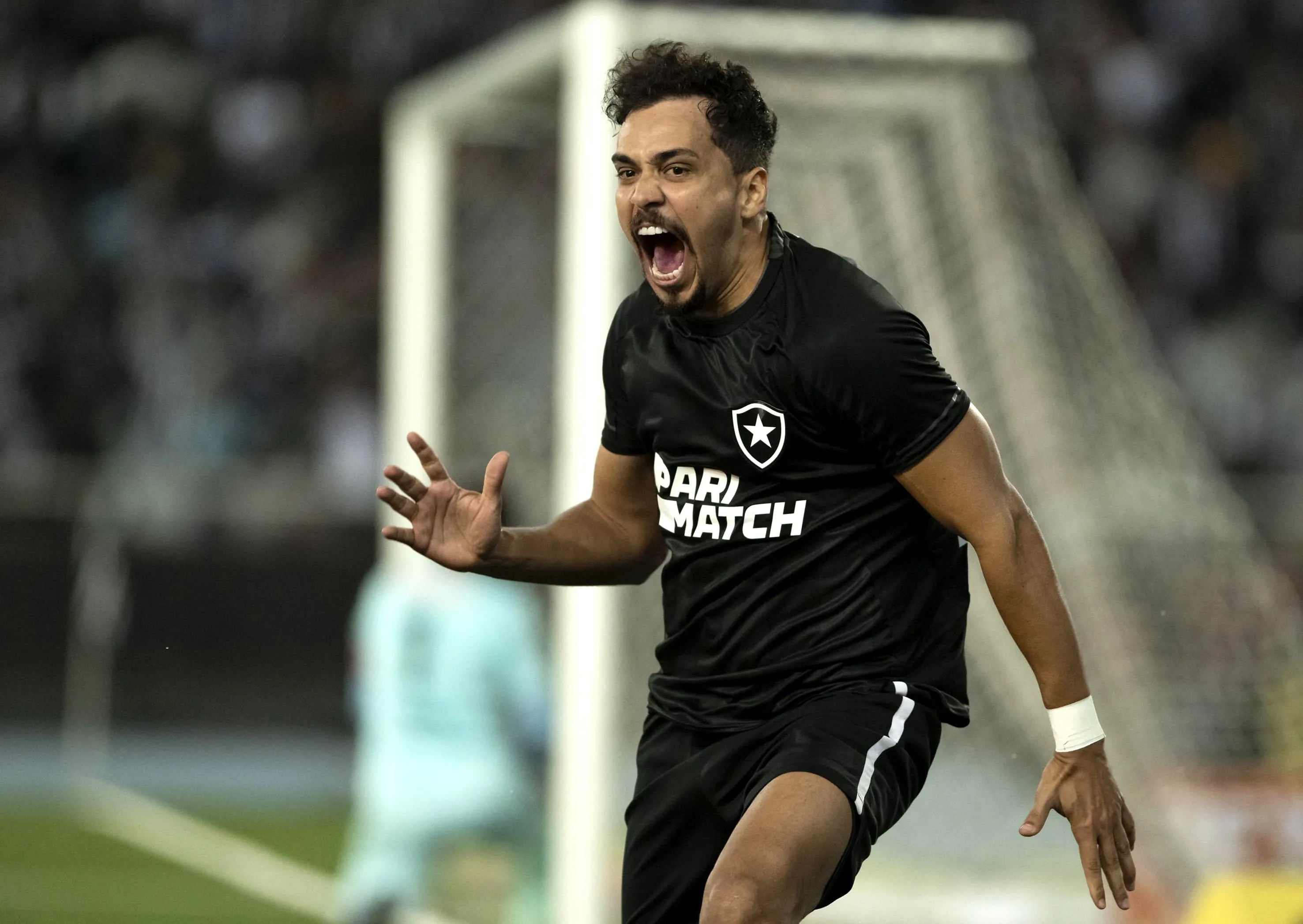 Botafogo abre 13 pontos em campanha avassaladora e eficiente no Brasileir&atilde;o