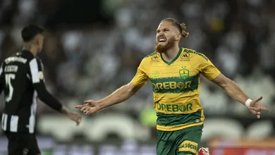 Seneme briga com a imagem ao dizer que toque no bra&ccedil;o de Pitta contra o Botafogo &eacute; &lsquo;inconclusivo&rsquo;