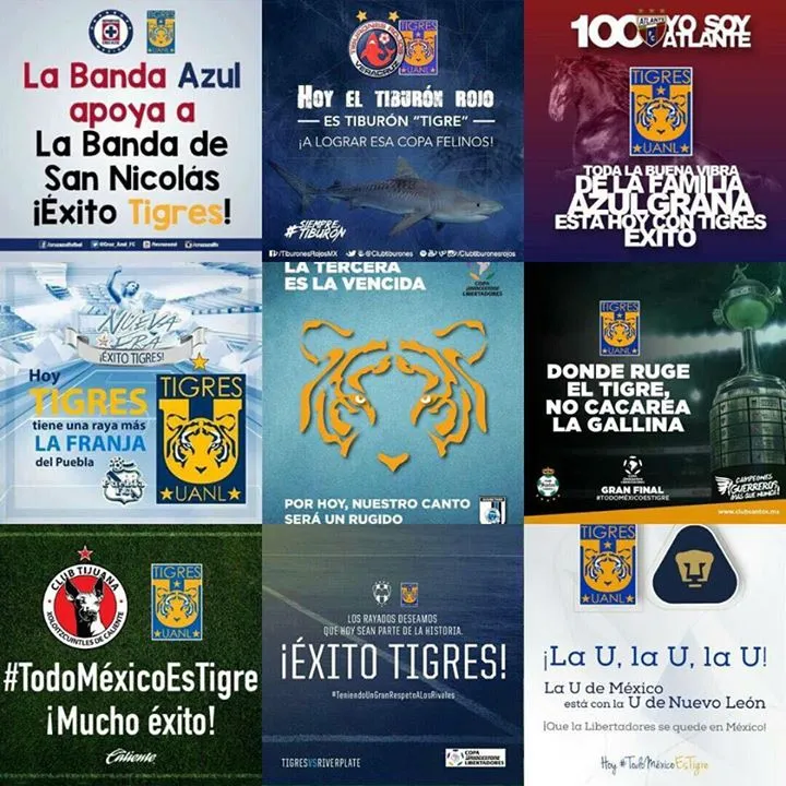 Tigres_M&eacute;xico unido