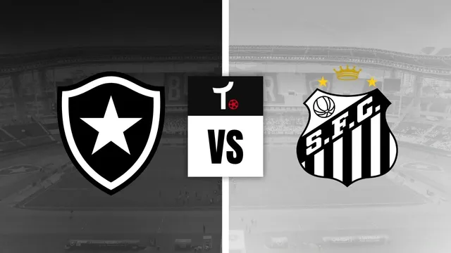 Botafogo x Santos Palpite &ndash; Not&iacute;cias e odds (16/07)