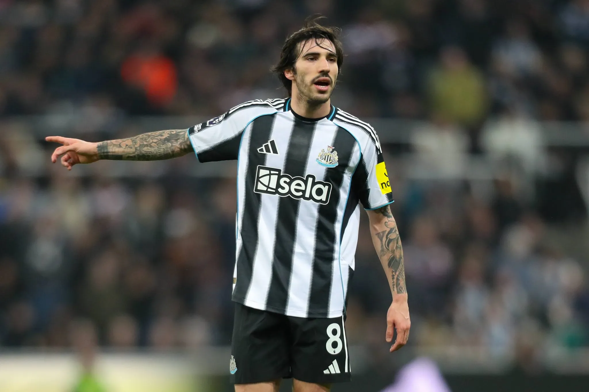 Sandro Tonali em jogo do Newcastle