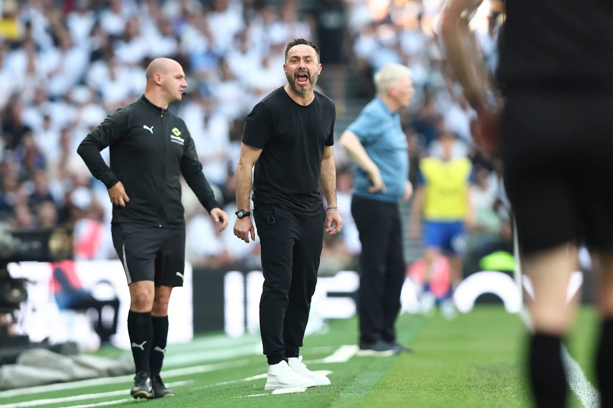 De Zerbi durante Tottenham 1 x 0 Everton