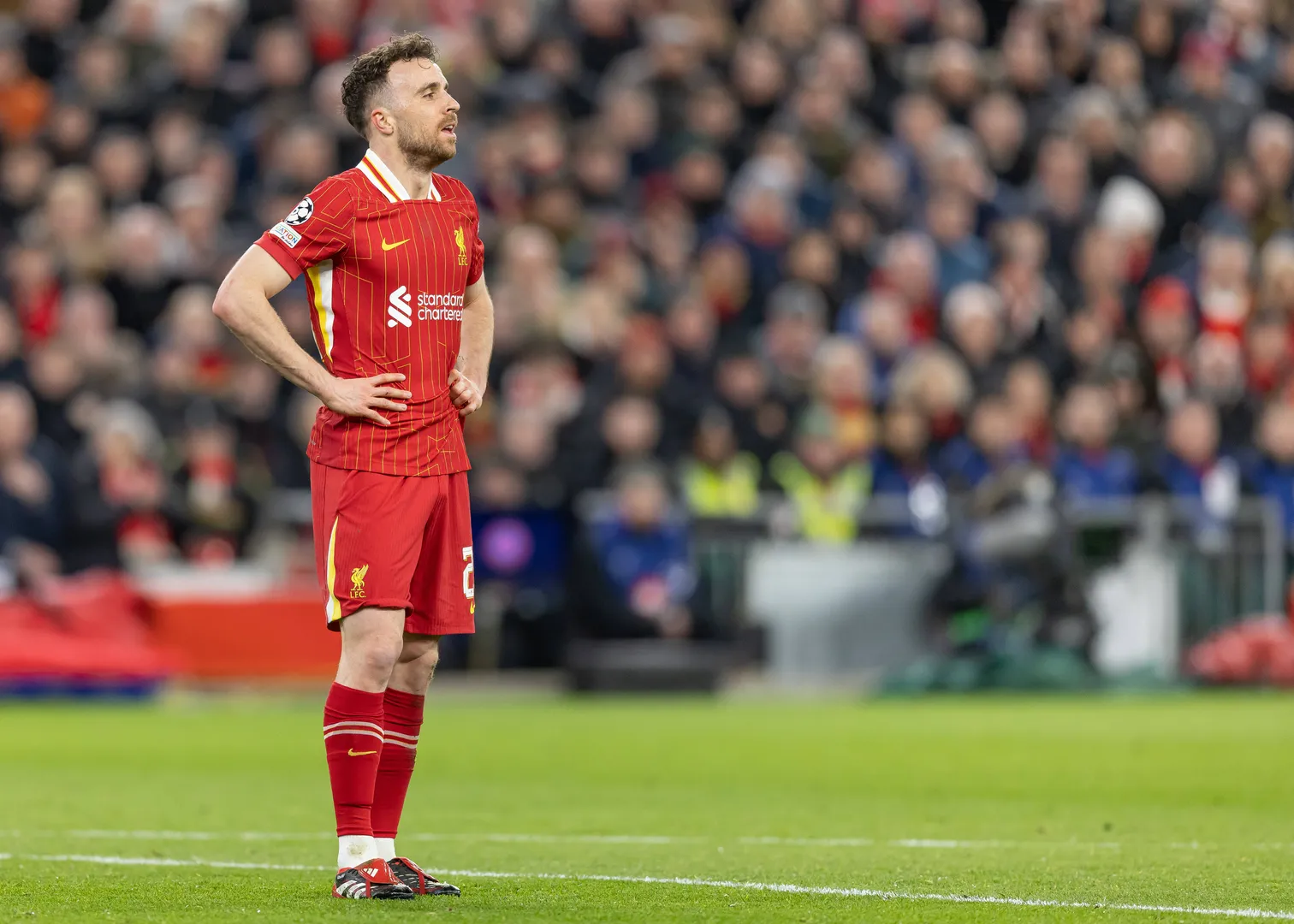 Diogo Jota n&atilde;o vive sua melhor temporada no Liverpool Foto: (Imago)