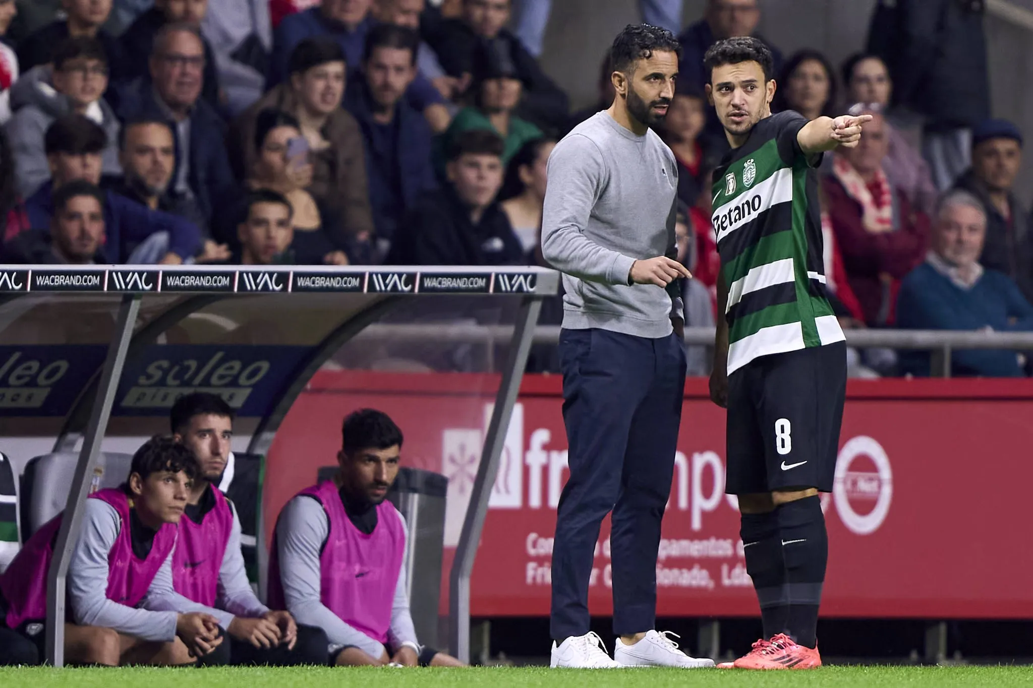 Pedro Gon&ccedil;alves e R&uacute;ben Amorim em atua&ccedil;&atilde;o pelo Sporting (IMAGO / NurPhoto)