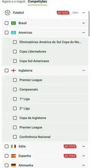 Captura de tela com as competi&ccedil;&otilde;es de futebol dispon&iacute;veis no cat&aacute;logo da Lottoland Brasil