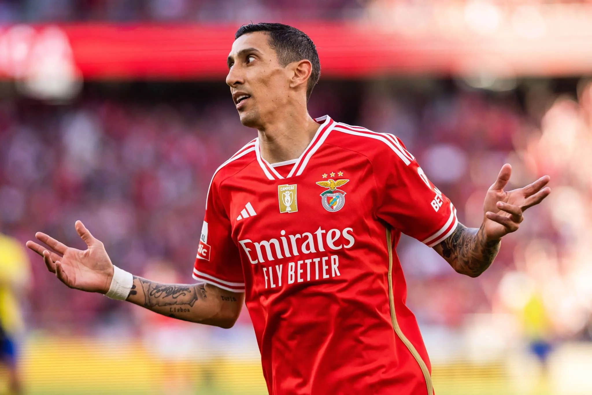 Ex-Botafogo &eacute; favorito para assumir Benfica em crise e sem t&eacute;cnico ap&oacute;s demiss&atilde;o precoce