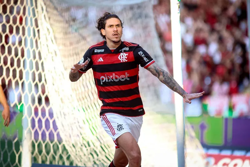 Lesionado desde setembro, Pedro terminou 2024 com 30 gols