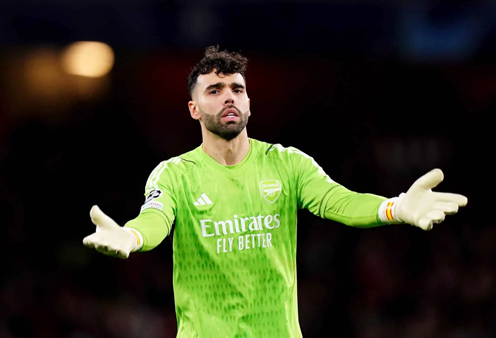 Arsenal quer contratar goleiro da Premier League para ser sombra de Raya